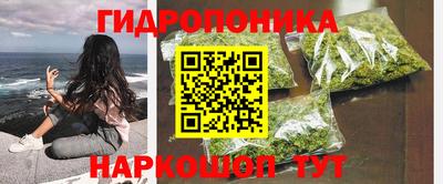 дмт Будённовск