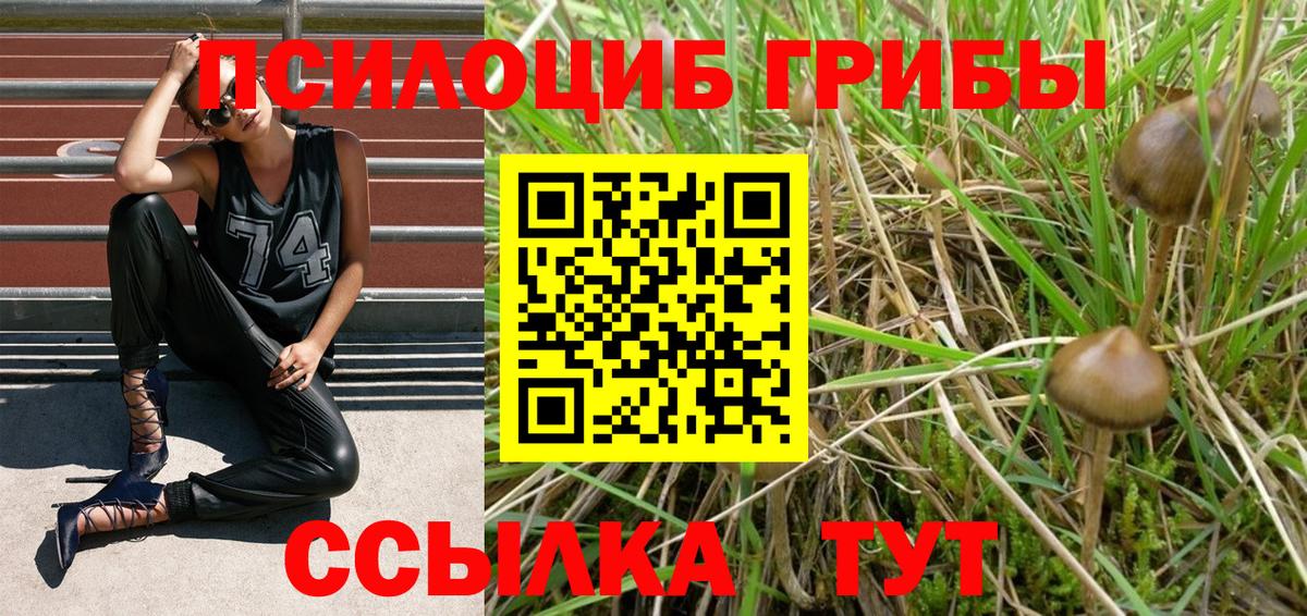 Галлюциногенные грибы мицелий Кулебаки