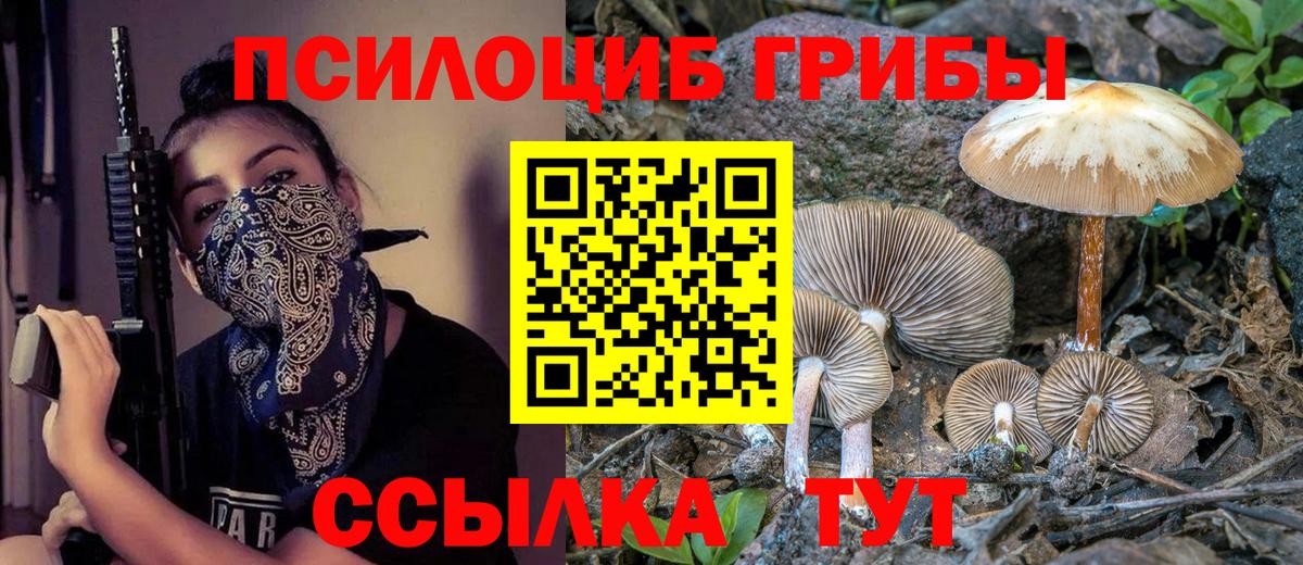 как найти закладки  Псилоцибиновые грибы прущие грибы  Вход с VPN  Кулебаки 